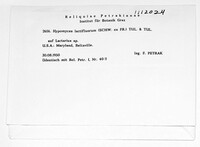 Hypomyces lactifluorum image